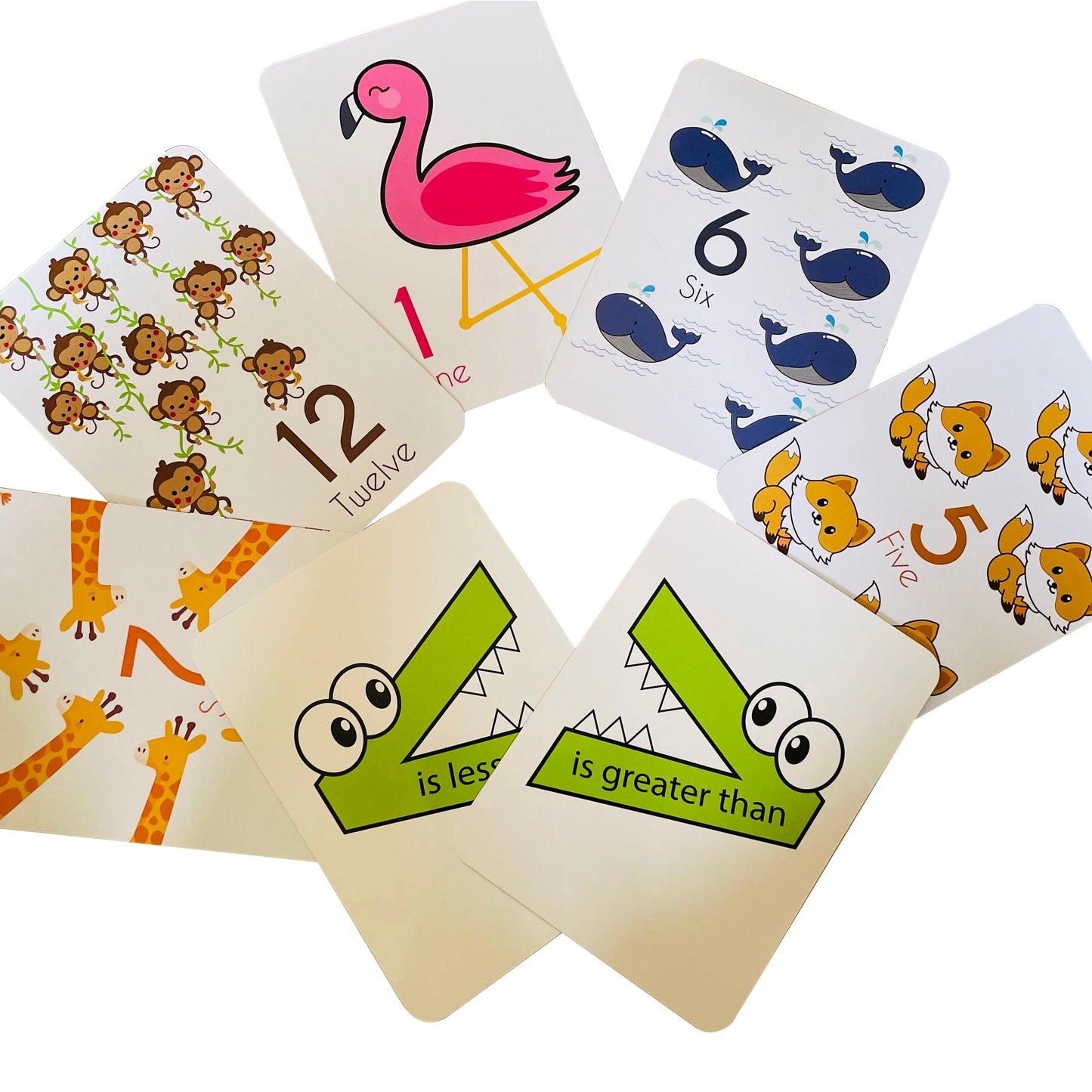 Number Flashcards and counting activity