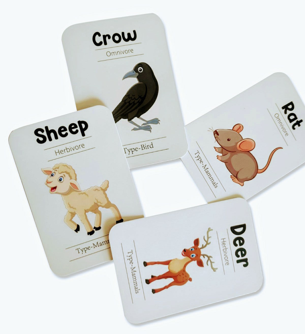 Animals Flash Cards - Pack of 24