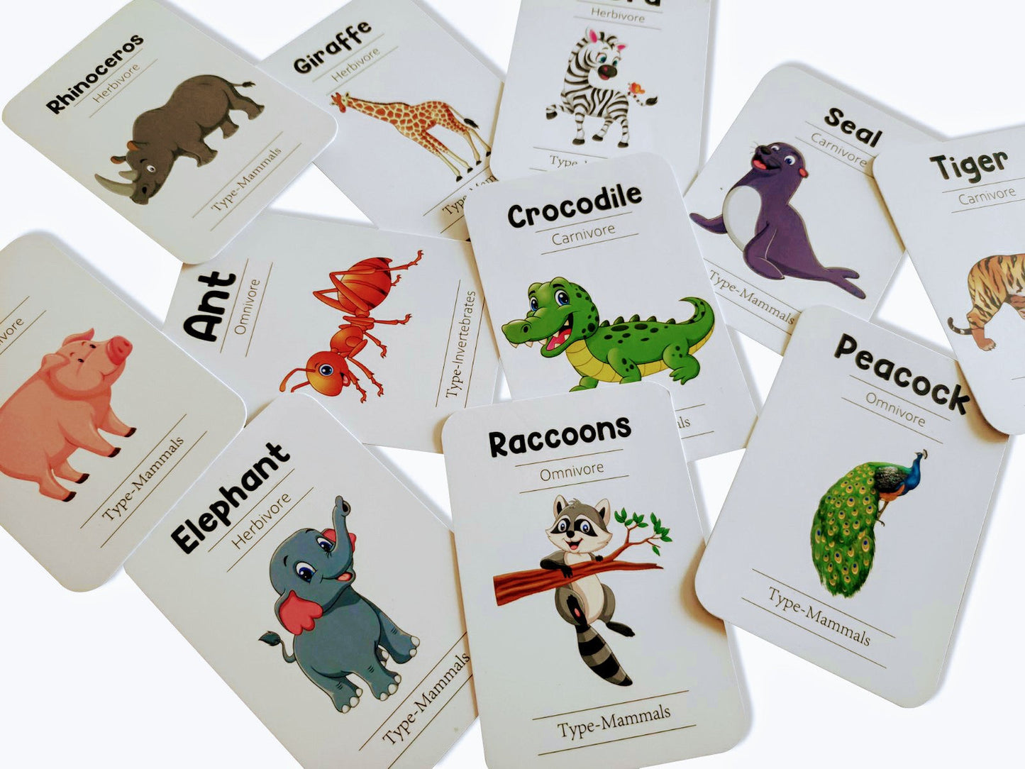 Animal world combo flashcards ( Animals, Birds, Insects and sea animals)