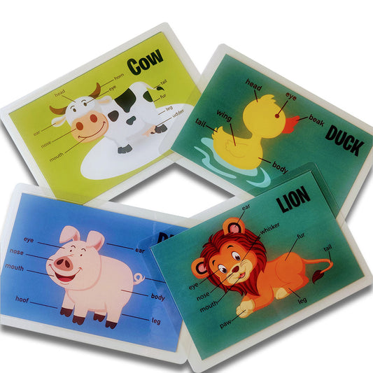 Animal Body Parts Flashcards