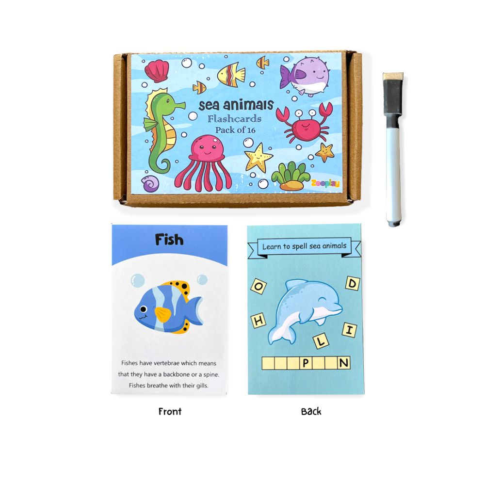 Sea animals flashcards