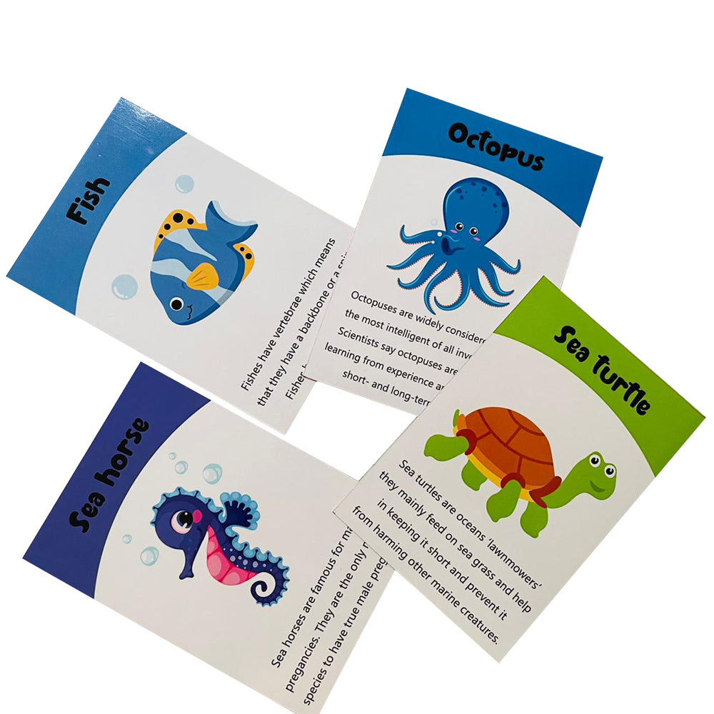 Sea animals flashcards