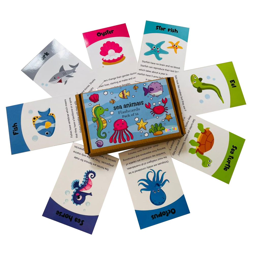 Sea animals flashcards