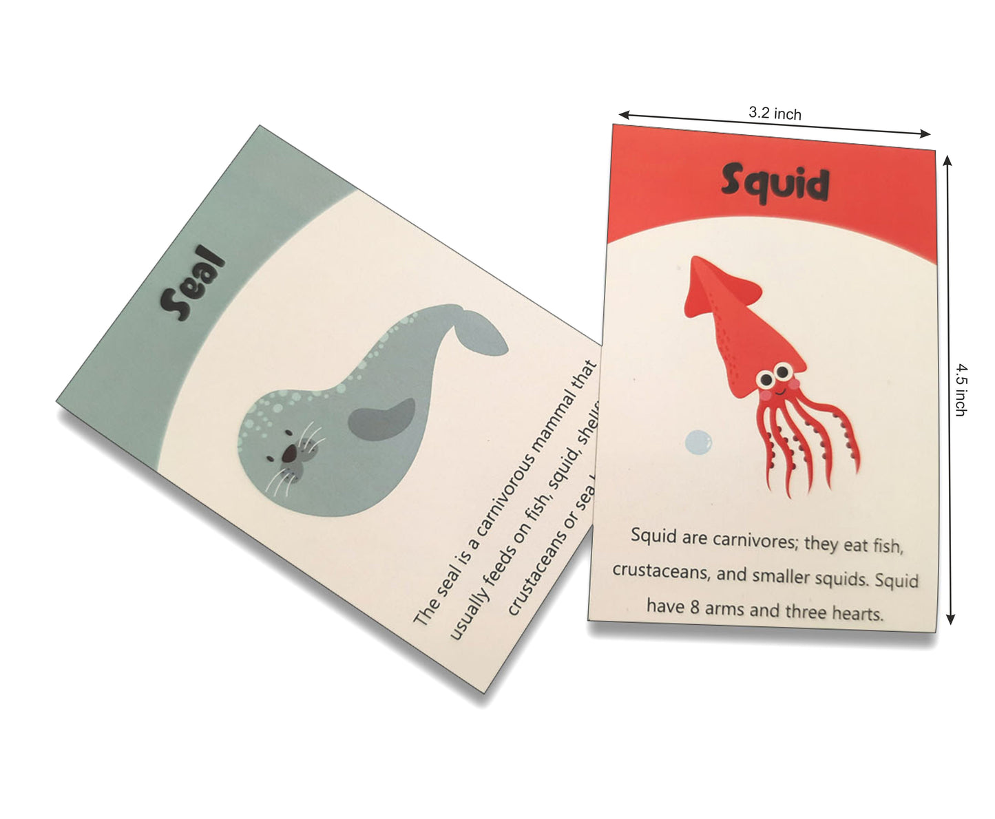 Sea animals flashcards