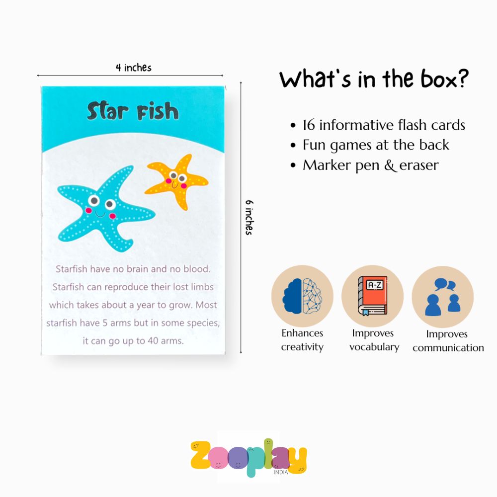 Sea animals flashcards